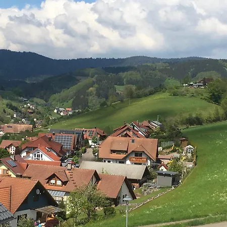 2 Z. Fewo Barbo-Wanderparadies Oberharmersbach Exterior photo